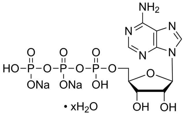 5-腺苷三磷酸二钠盐水合物